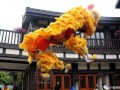 舞狮少年爆料视频完整版,完整版爆料视频背后的故事与感动