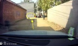 周口森林公园爆料视频,揭秘自然奇观与生态奥秘