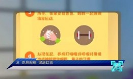 贵州6频道直播在线观看,实时掌握贵州新闻动态，一键观看精彩节目