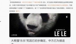 娱乐圈爆料熊猫的是谁,是谁曝光了熊猫的惊天秘密？