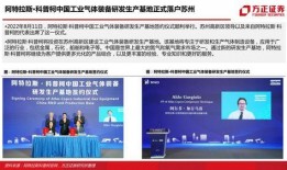 团山最新爆料新闻报道内容,揭秘事件背后惊人真相