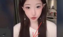 李恩爆料斩虎视频