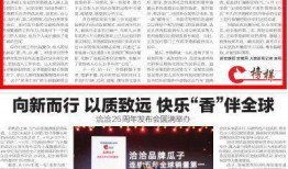 新安晚报新闻爆料,揭秘某企业涉嫌违规操作内幕