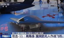 利剑鹰坠落在线观看,在线观看，揭秘惊心动魄的空中战斗传奇