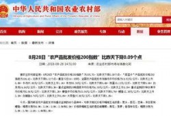 今日菜价爆料新闻视频,蔬菜价格波动，市民生活受影响