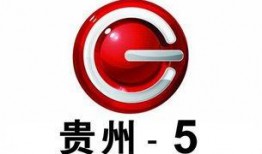 贵州6频道直播在线观看,实时掌握贵州新闻动态，一键观看精彩节目