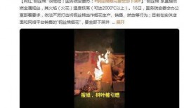 网红爆料代购骗局视频,视频揭露惊人内幕