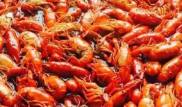 龙虾外卖爆料怎么做视频,视频揭秘外卖行业那些事