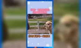 娱乐吃瓜群众冲冲冲,揭秘娱乐圈幕后故事