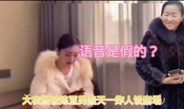 爆料大衣嫂录音视频播放,揭秘家庭矛盾背后的真相