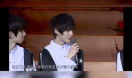 tf家族最新爆料,揭秘成员们背后的故事与成长历程