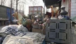 宋氏四兄弟最新爆料,揭秘家族最新爆料背后的惊人真相