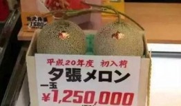 娱乐吃瓜酱礼金,揭秘娱乐圈背后的神秘交易