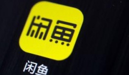 闲鱼最新爆料专场,揭秘热门商品背后的秘密与趋势