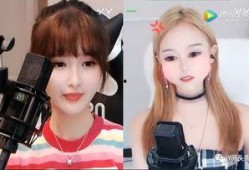 苏珊珊爆料视频大全集在线观看,揭秘幕后真相