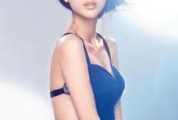 经纪人爆料张俪视频播放,经纪人爆料背后真相