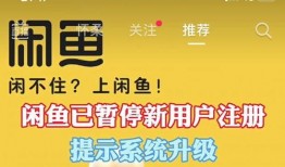 闲鱼最新爆料专场,揭秘热门商品背后的秘密与趋势