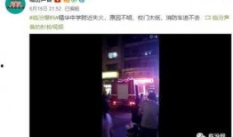 爆料彩虹事件视频大全,揭秘网络爆红瞬间