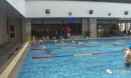 游泳池干净吗 爆料视频,网友爆料视频曝光惊人内幕