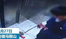 对镜爆料小男孩视频大全,揭秘小男孩视频大全的欢乐瞬间