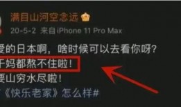 什么是内鬼爆料呢视频,揭秘企业内部秘密的神秘力量