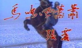 风萧萧在线观看,江湖恩怨，剑指苍穹