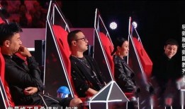 好声音李嘉杰爆料视频,幕后故事与心路历程