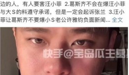 录音爆料汪小菲视频,录音爆料背后的惊人真相