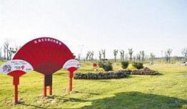 周口森林公园爆料视频,揭秘自然奇观与生态奥秘