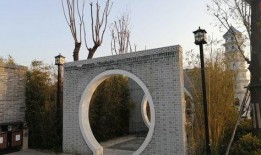 周口森林公园爆料视频,揭秘自然奇观与生态奥秘