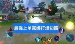 王者荣耀黑熊爆料视频