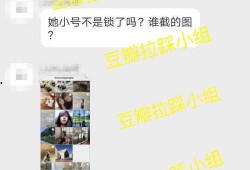 陈飞爆料视频大全下载,揭秘幕后真相，带你走进事件核心