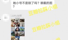 陈飞爆料视频大全下载,揭秘幕后真相，带你走进事件核心