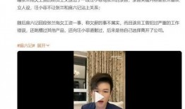 录音爆料汪小菲视频,录音爆料背后的惊人真相