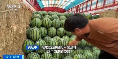 娱乐圈吃瓜直播间甘蓝